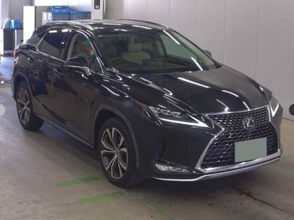 LEXUS DBA