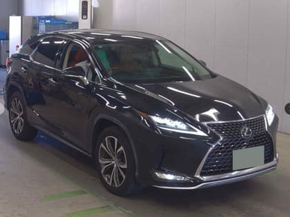 LEXUS DBA